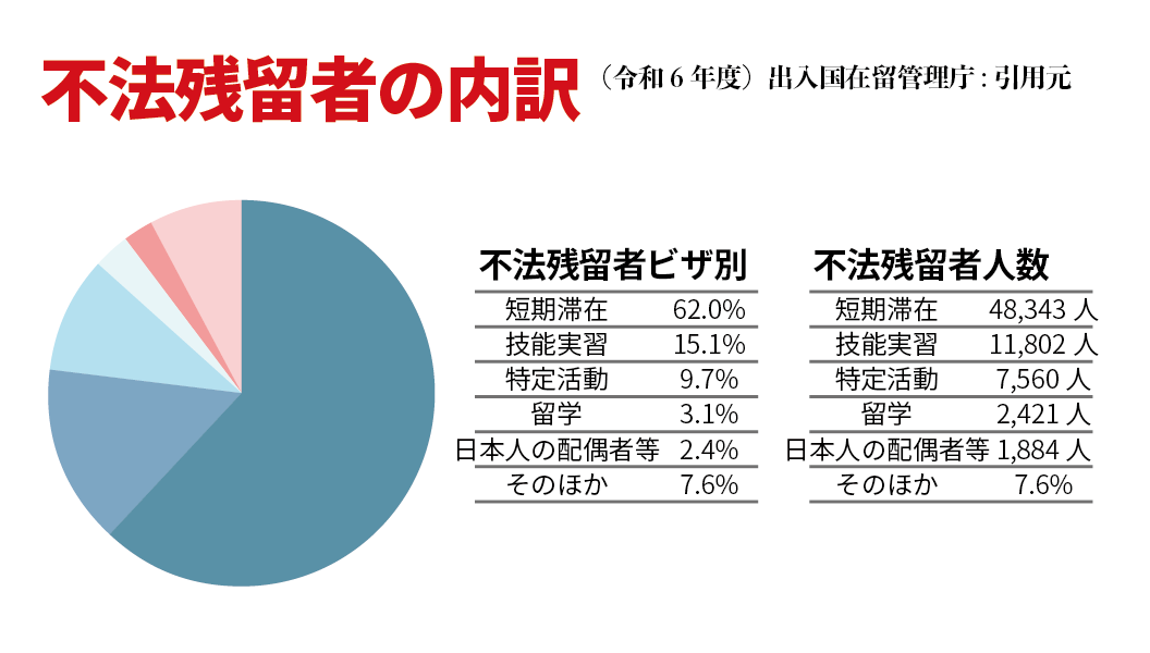 不法在留者の内訳グラフ